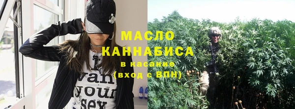 тгк Абаза